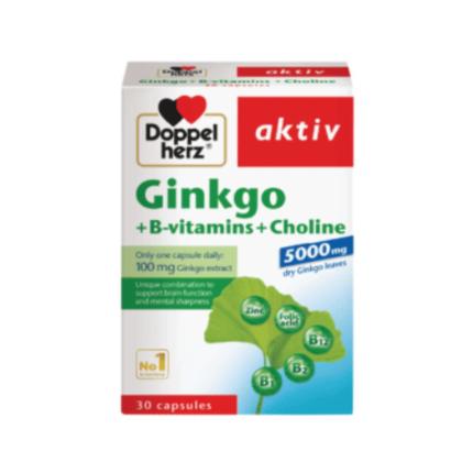 Ginkgo + B Vitamins + Choline (1)