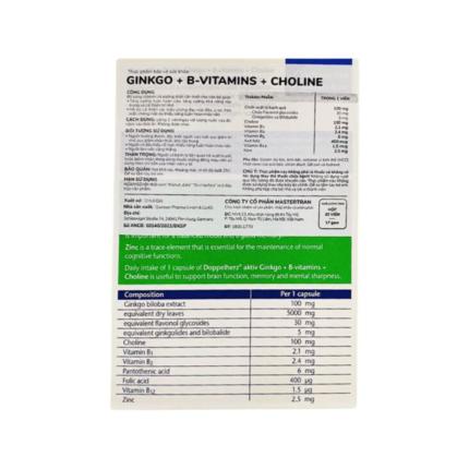 Ginkgo + B Vitamins + Choline (2)