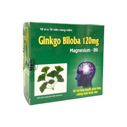 Ginkgo Biloba 120mg Magnesium B6