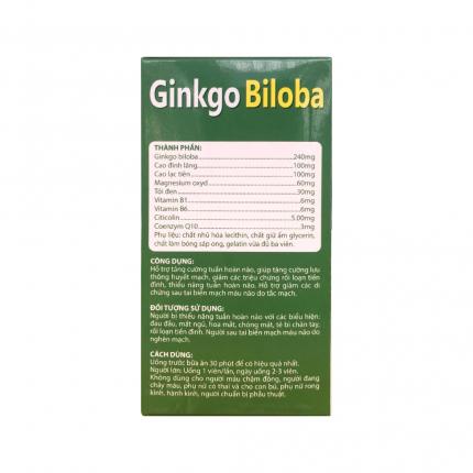 Ginkgo Biloba Citicolin