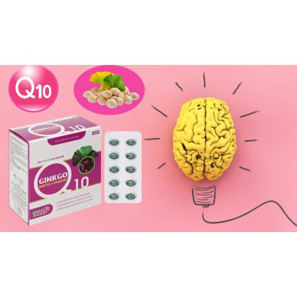 Thành phần chính của Ginkgo Natto Coenzym Q10