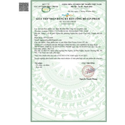 Hàu Up ES Việt Nam