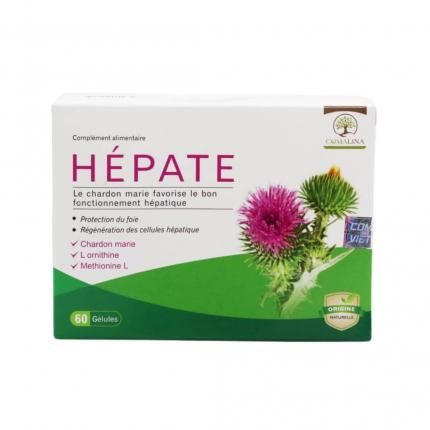 Hépate - Hỗ trợ tái tạo tế bào gan, giải độc gan