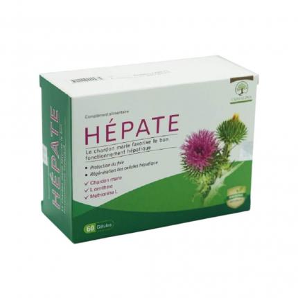 Hépate - Hỗ trợ tái tạo tế bào gan, giải độc gan