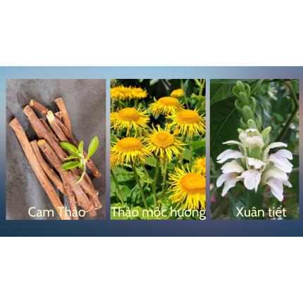 Herbs of Gold Lung Care