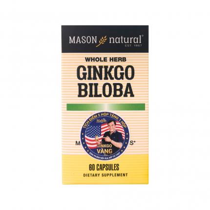 Mason Natural Ginkgo Biloba