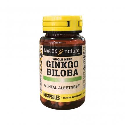 Mason Natural Ginkgo Biloba