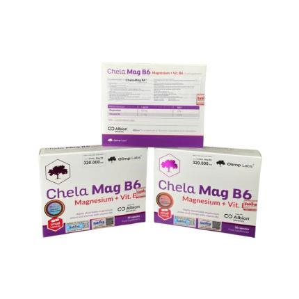 Chela Mag B6 (1)