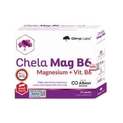 Chela Mag B6