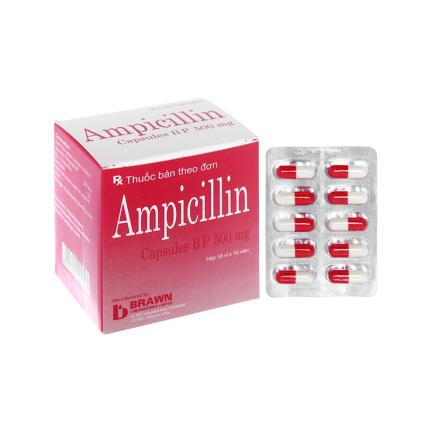 Ampicillin Brawn (500mg) (4)