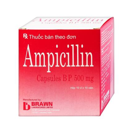 Ampicillin Brawn (500mg)
