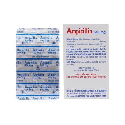 Ampicillin Domesco (500mg) (2)