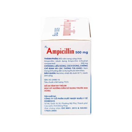 Ampicillin Domesco (500mg) (4)