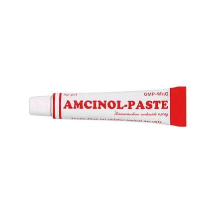 Thuốc bôi Amcinol-Paste 5mg - Điều trị viêm ở miệng, lợi và môi
