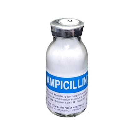 Ampicillin Mekophar (1g) (2)