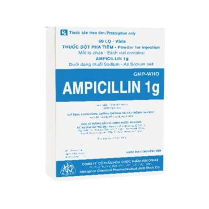 Ampicillin Mekophar (1g)