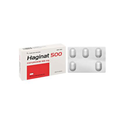 Haginat DHG 500mg
