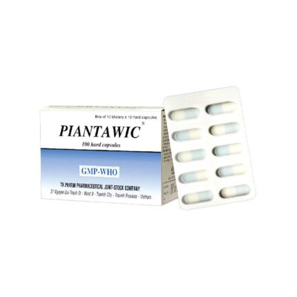 Piantawic 325200 H100 Hcm