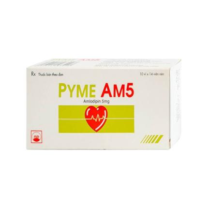 Pyme AM5
