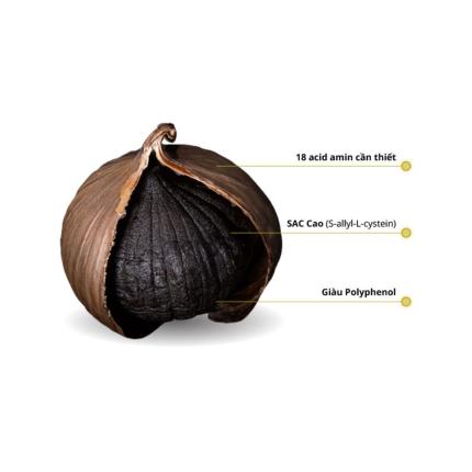 Tỏi Kim Cương Gói 500g (3)
