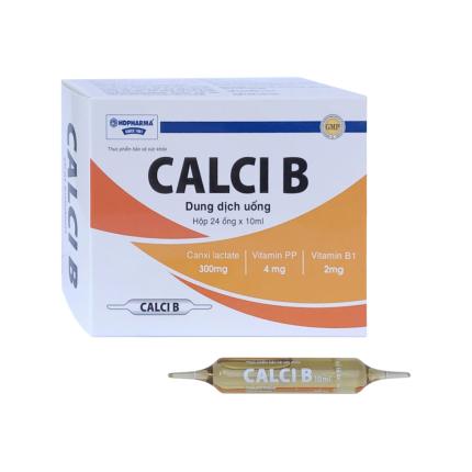 Calci B 97
