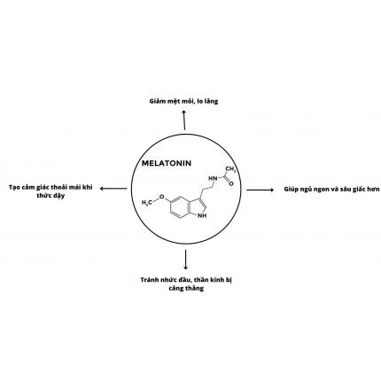 Viên nhai Melatonin