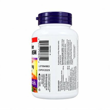 Glucosamin Chondrotin MSM3