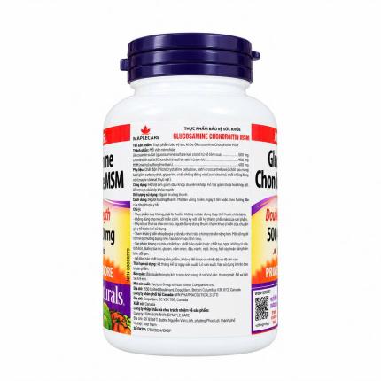 Glucosamin Chondrotin MSM1