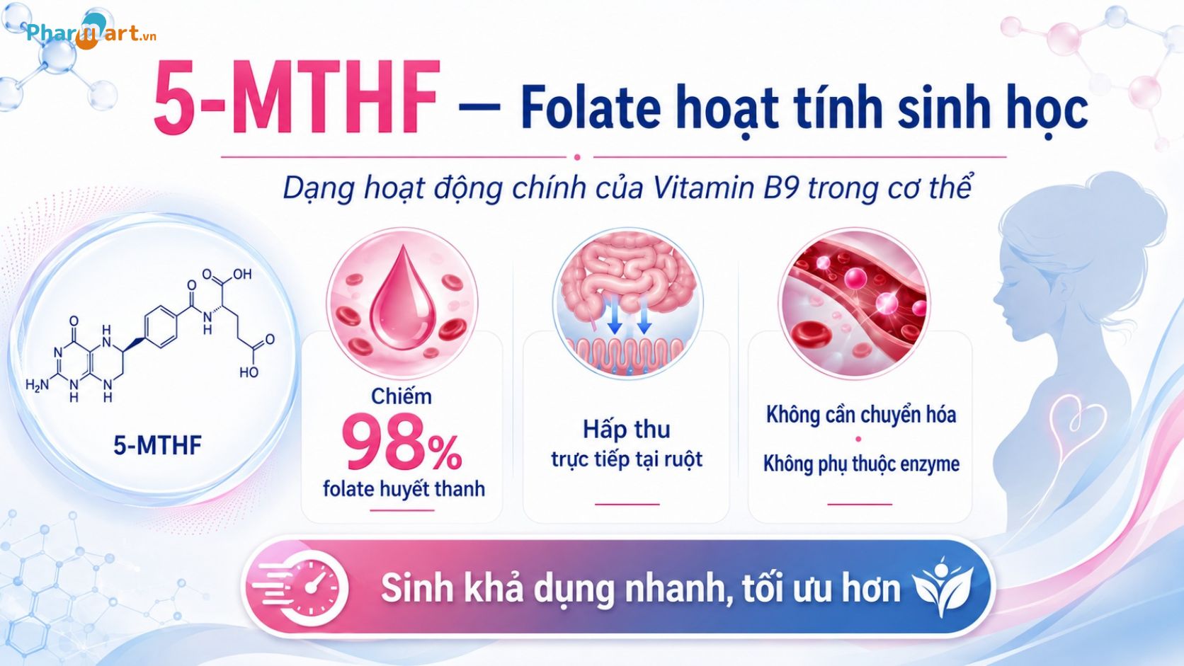 5-MTHF có khả năng hấp thu trực tiếp, không cần chuyển hóa