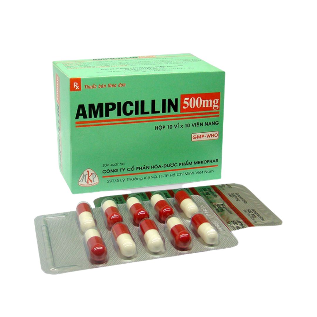 Wie Wird Ampicillin Eingesetzt LQPPM Wie Wird Ampicillin Eingesetzt LQPPM