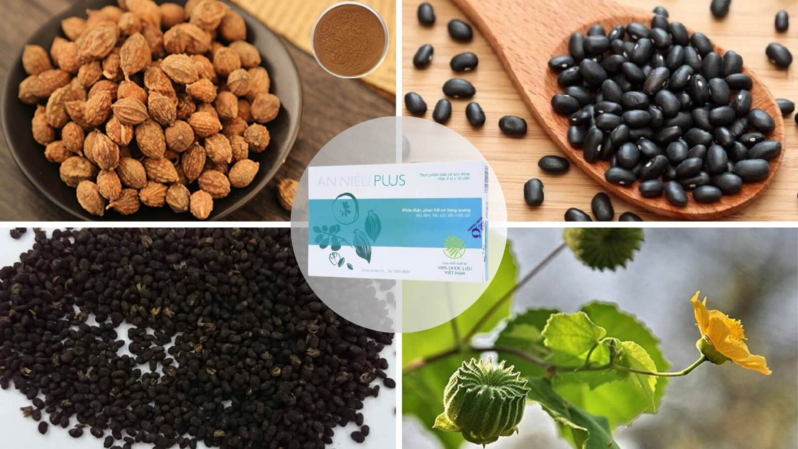 Các thành phần trong An Niệu Plus 
