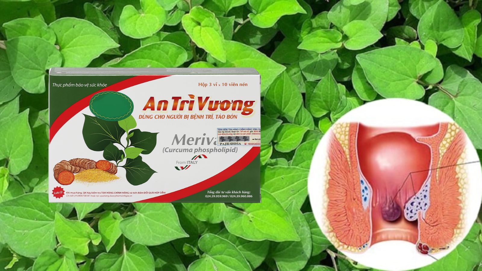 An Trĩ Vương - Hỗ trợ giảm trĩ