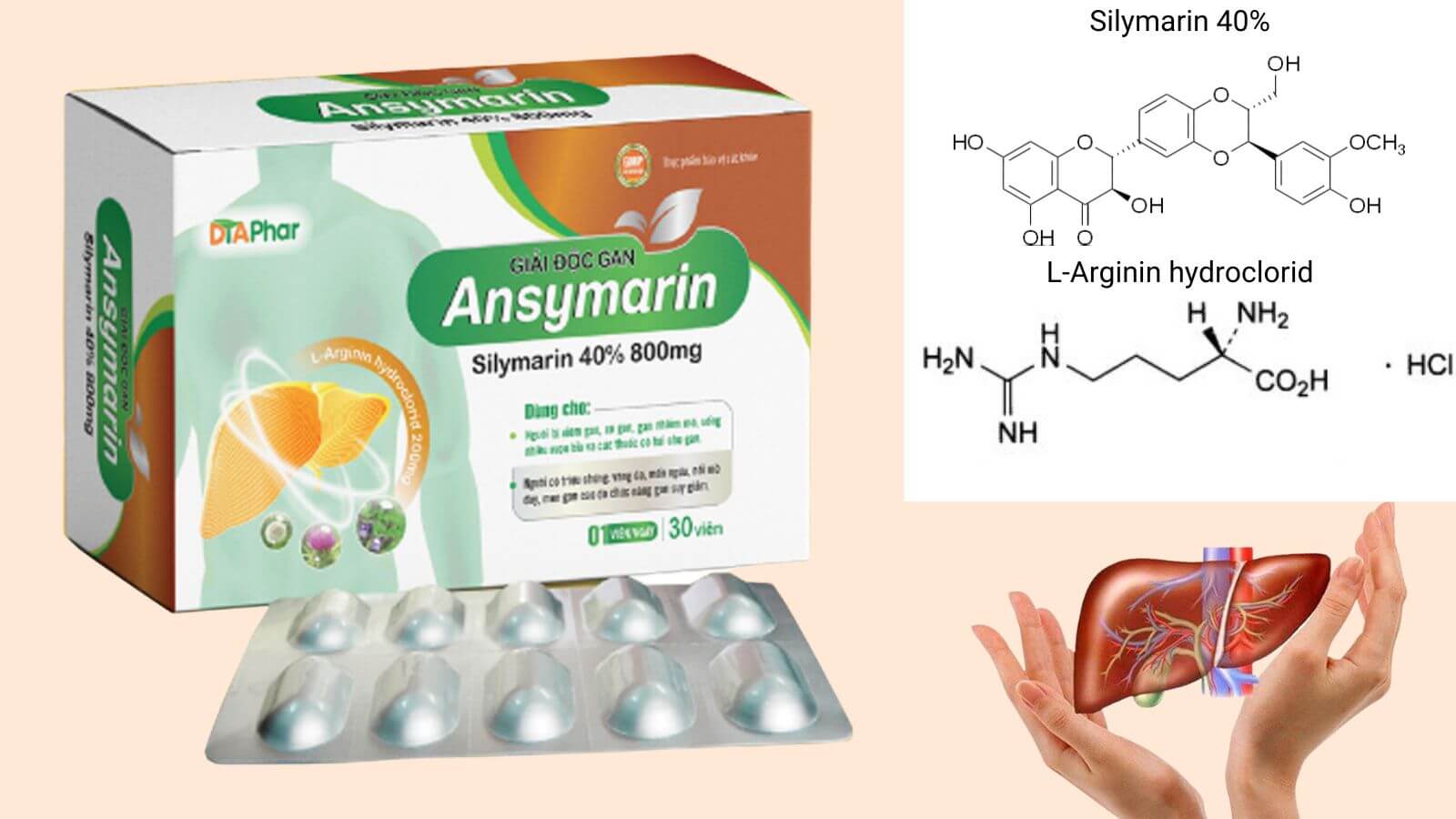 Thành phần chính của Ansymarin Silymarin 800mg