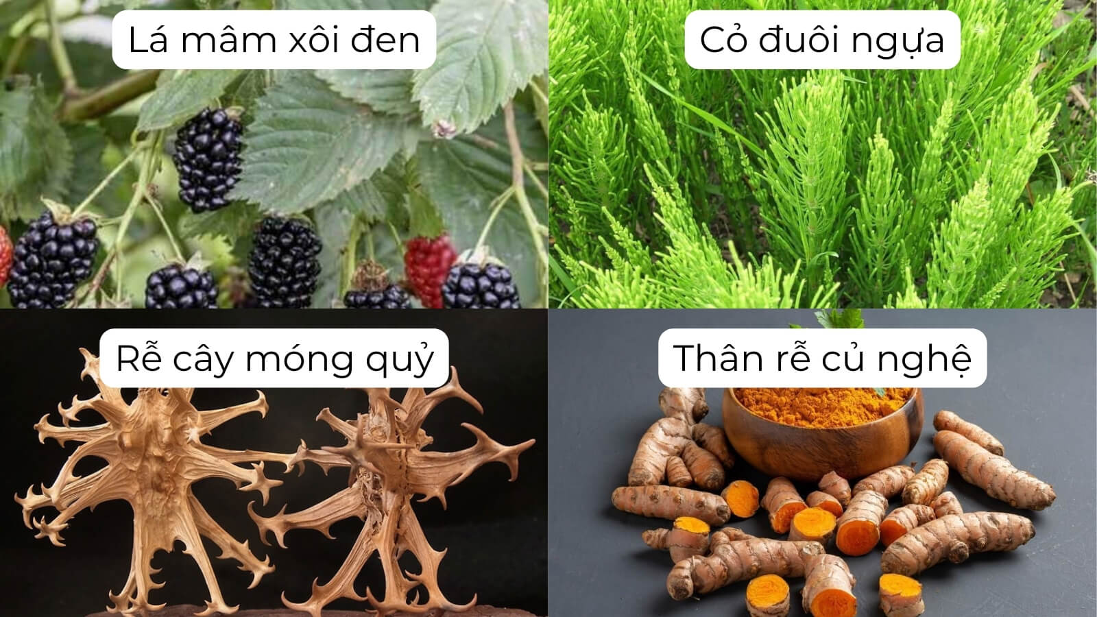 Thành phần chính có trong viên uống Artiflex