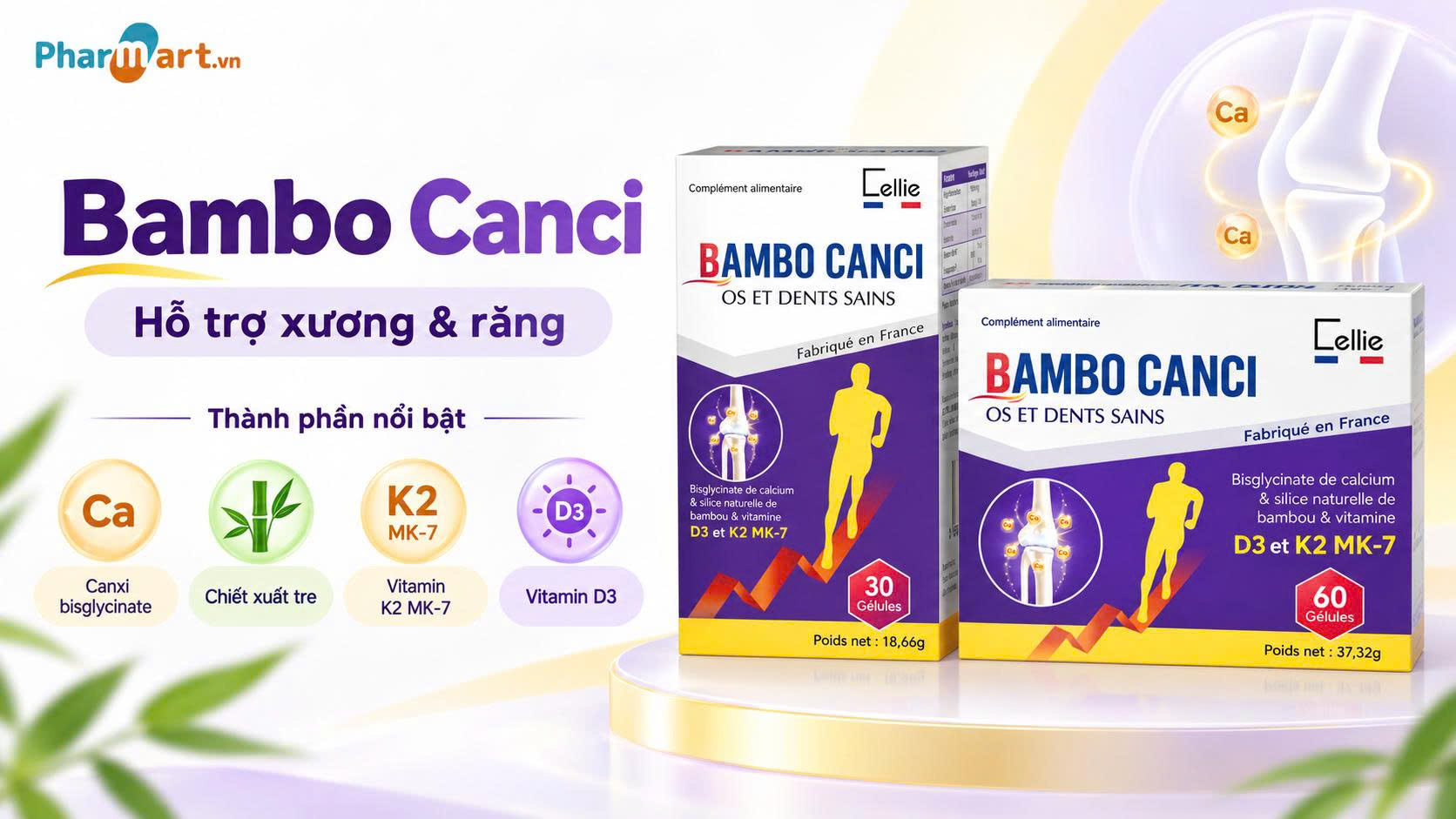 Bambo Canci hỗ trợ xương và răng chắc khỏe