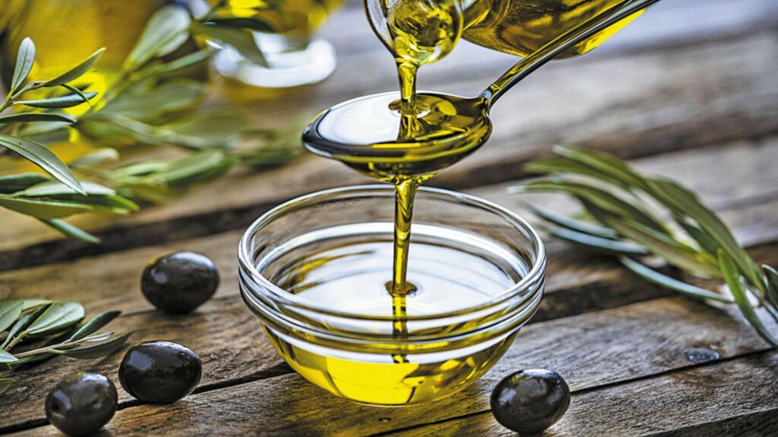 dầu oliu