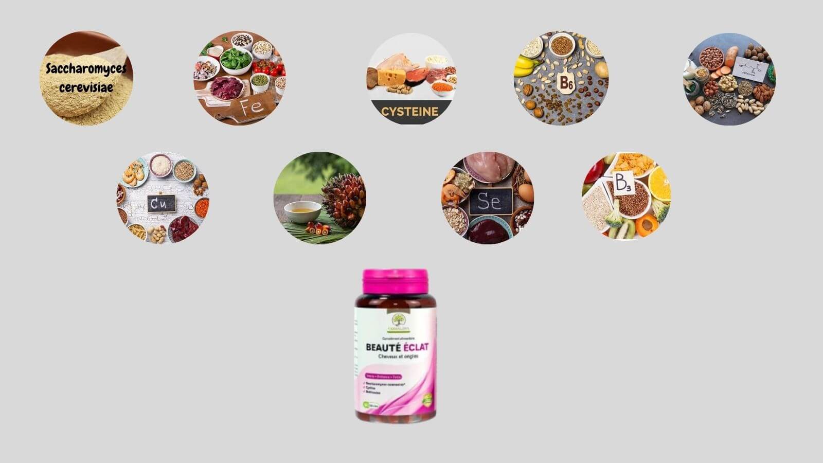 Beauté Éclac chứa nhiều dưỡng chất tốt cho tóc
