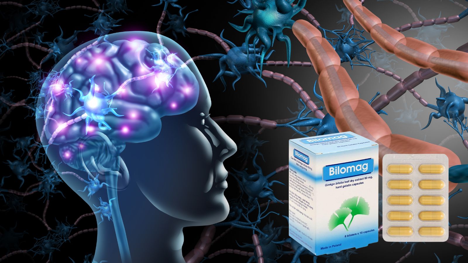 Bilomag 80mg - Cải thiện chức năng tuần hoàn não