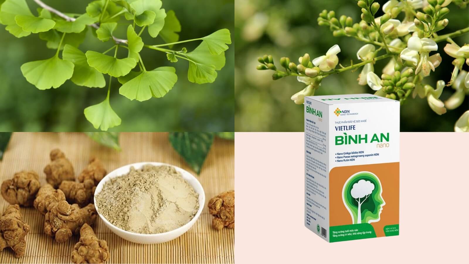 Viên uống tăng cường máu não Bình An Nano