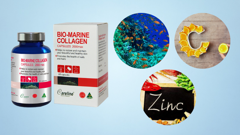 Các thành phần trong Bio-Marine Collagen hỗ trợ cải thiện tính chất da