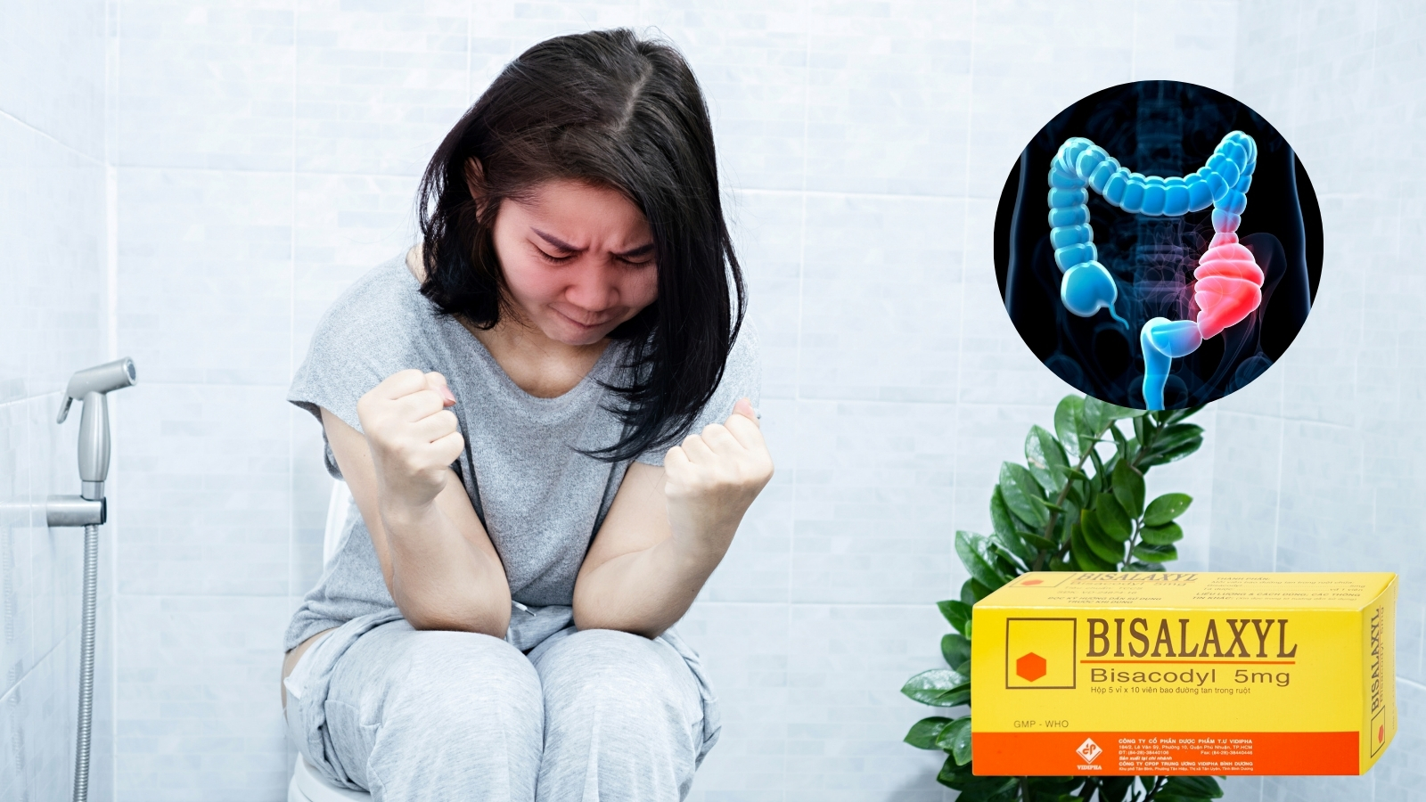 Bisacodyl được sử dụng trong các thuốc nhuận tràng để điều trị táo bón. 