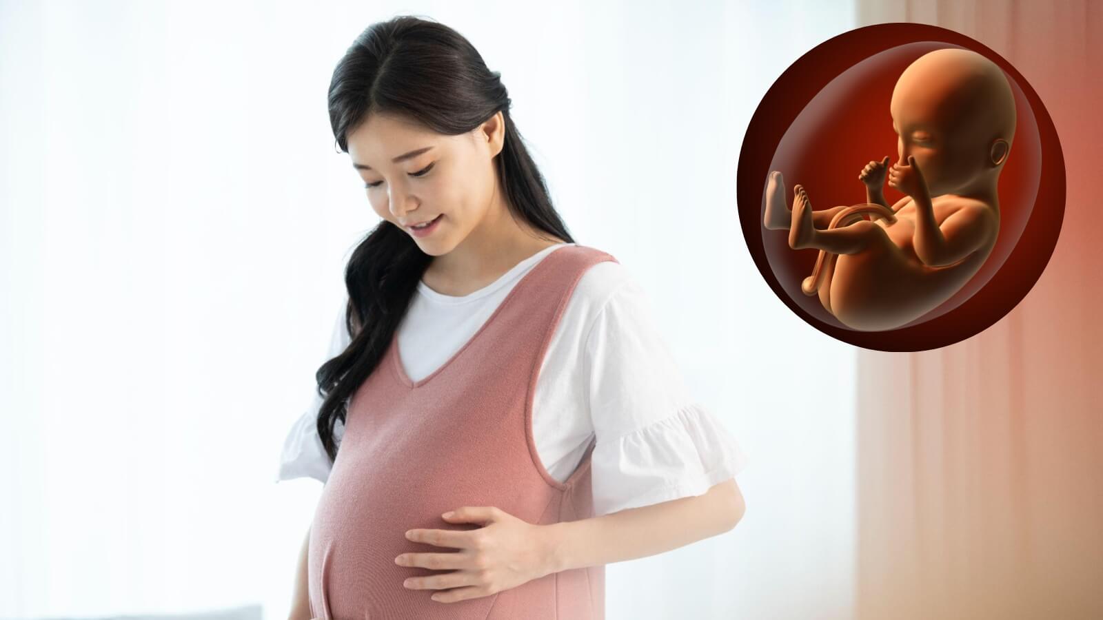 Blackmores Pregnancy & Breast-Feeding Gold cung cấp nhiều chất dinh dưỡng quan trọng cho mẹ và bé.