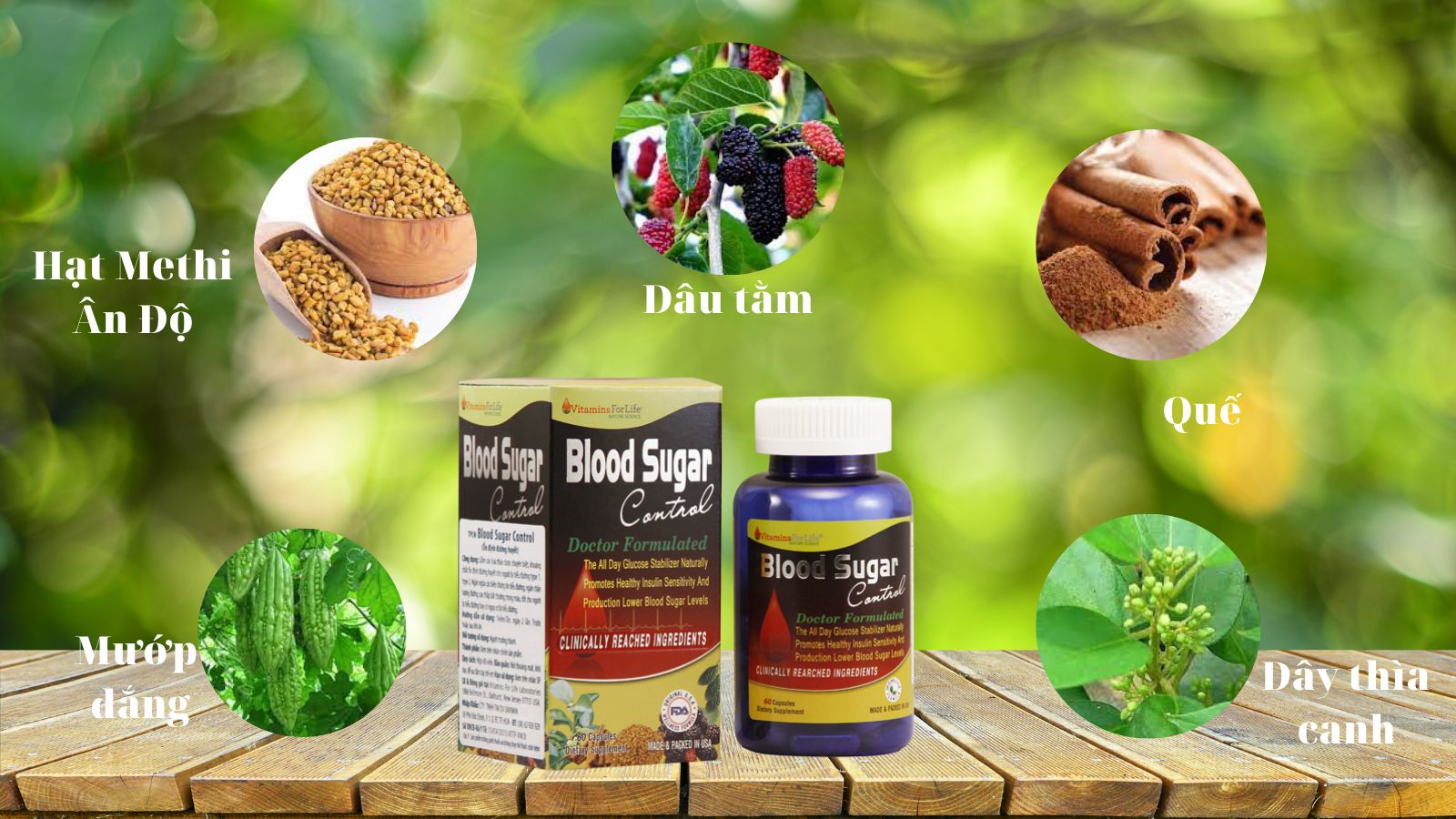 Một số thành phần của Blood Sugar Control