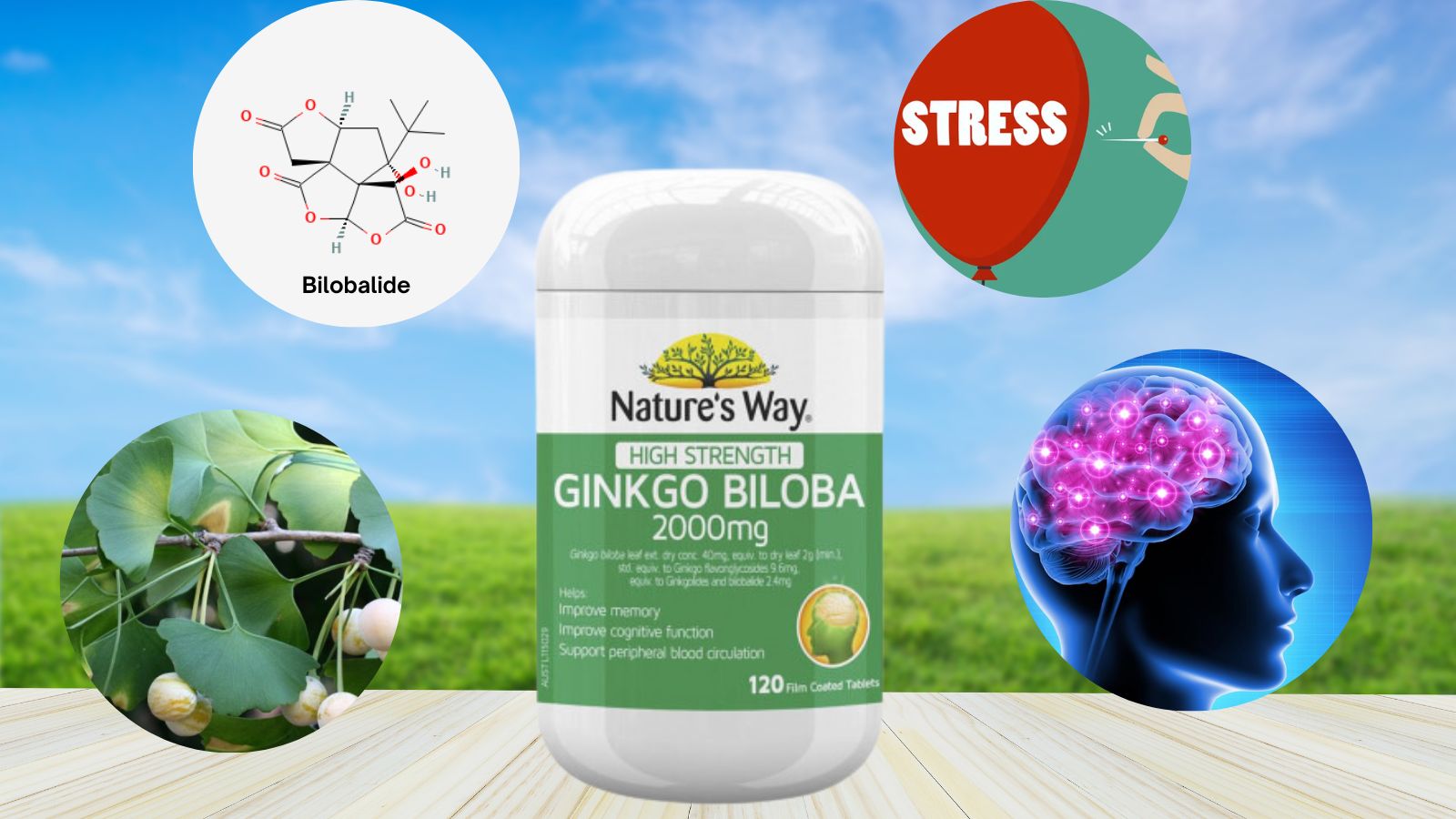 Nature's Way Ginkgo Biloba 2000mg Cải thiện tuần hoàn não Pharmart.vn