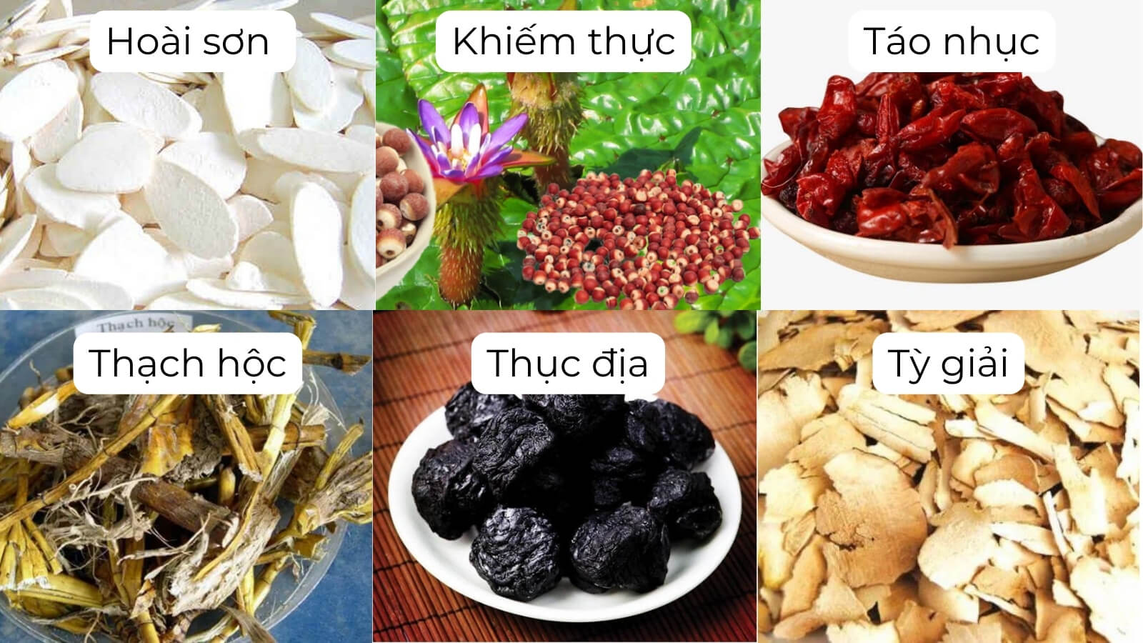 Thành phần chính có trong Bổ thận âm TW3