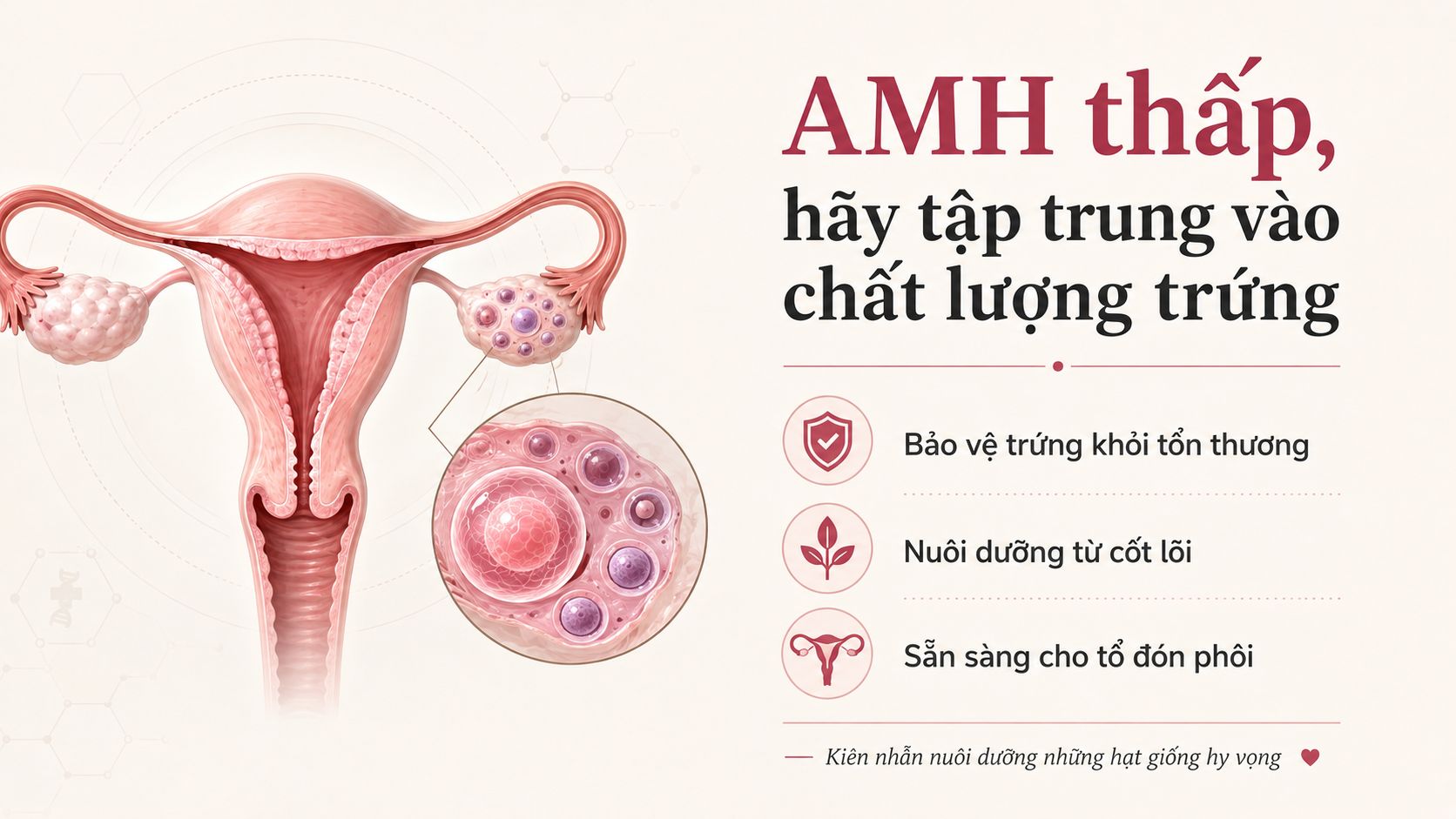 Nồng độ AMH thấp kh&ocirc;ng đồng nghĩa với chất lượng trứng thấp