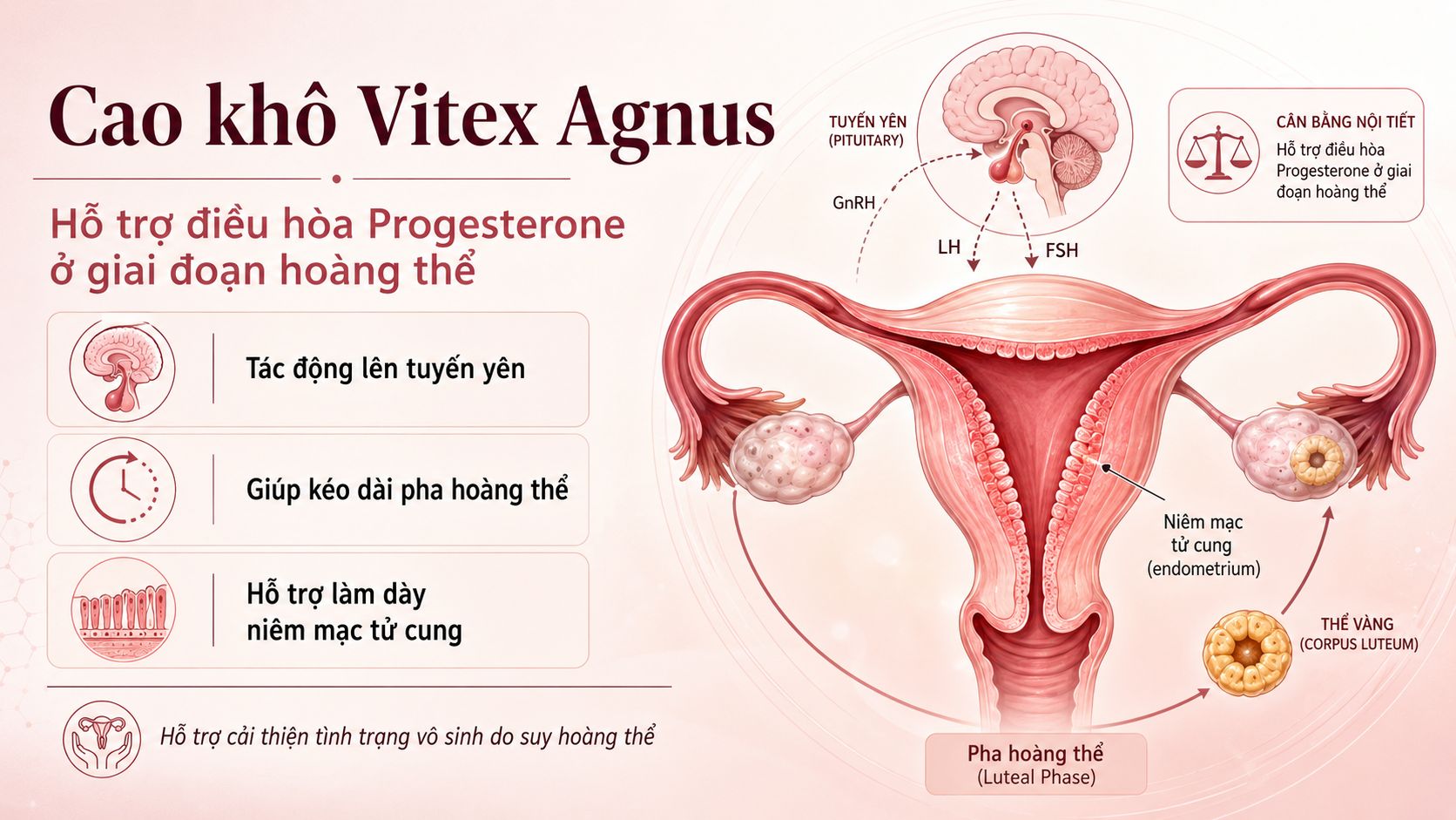 T&aacute;c dụng của cao kh&ocirc; Vitex Agnus
