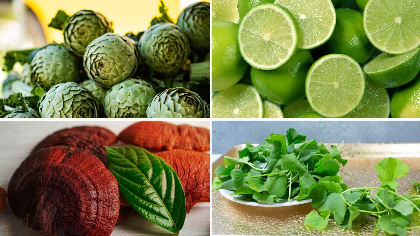 4 vị thuốc quý giúp mát gan, thanh lọc cơ thể