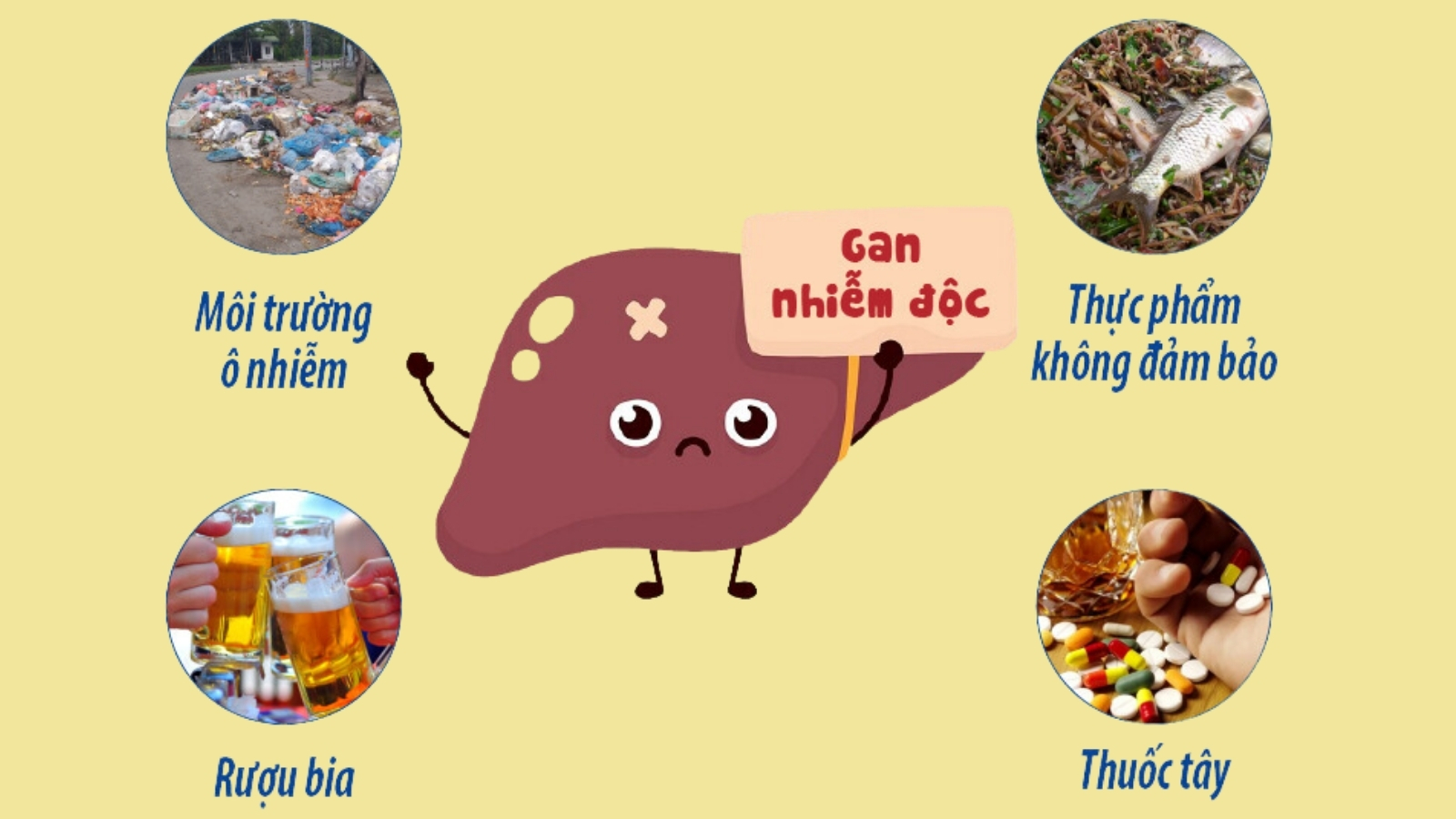 Những nguyên nhân chính khiến gan nhiễm độc