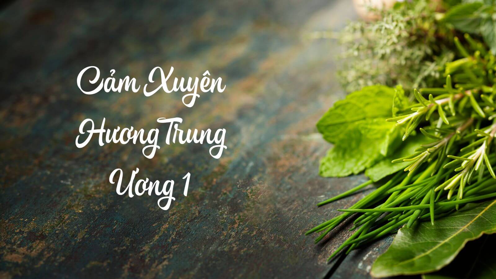 Thành phần từ thảo dược thiên nhiên